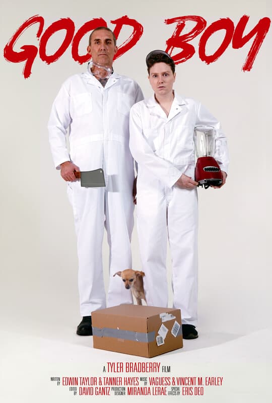 Poster for the short film "Good Boy", directed by undefined