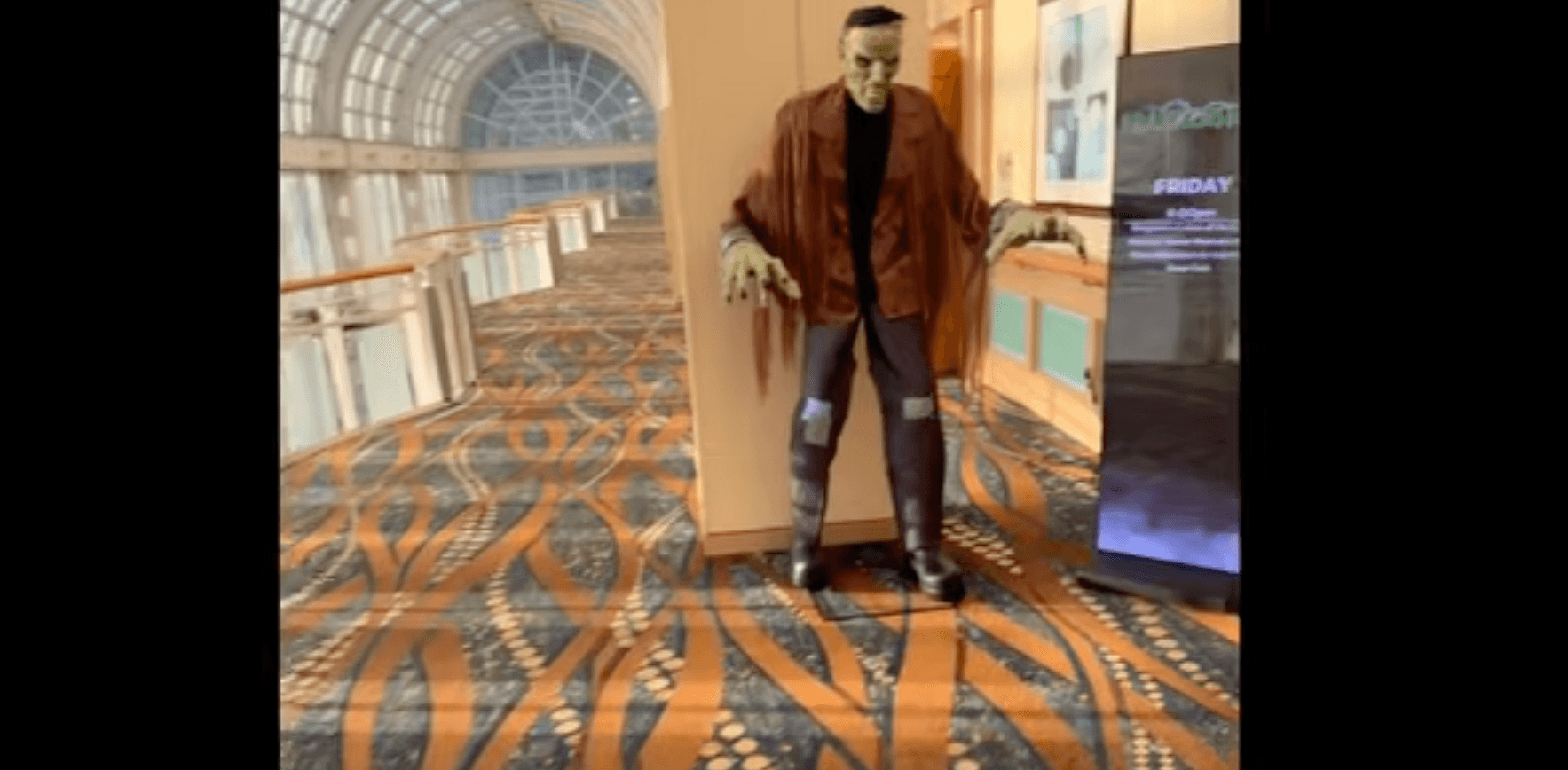 Why are you following me
