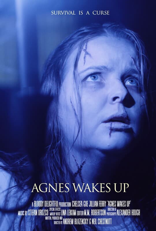 Poster for the short film "Agnes Wakes Up", directed by undefined