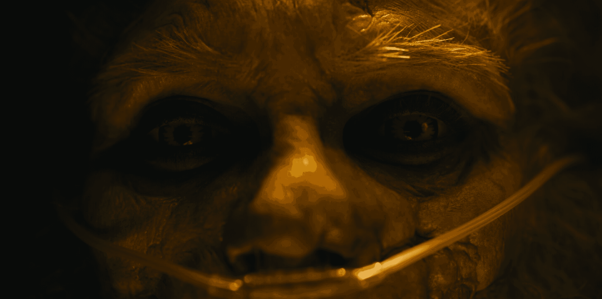 Still from the short film "Monster Medicine", directed by Veronica Felicity Johnson